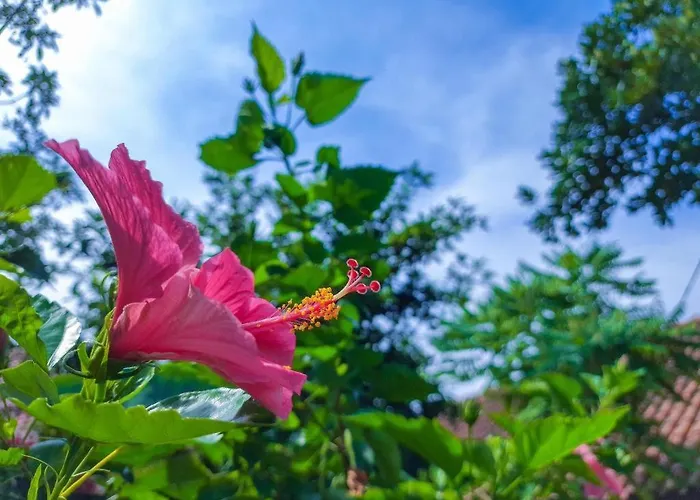 PadjadjaranHotel di Bogor
